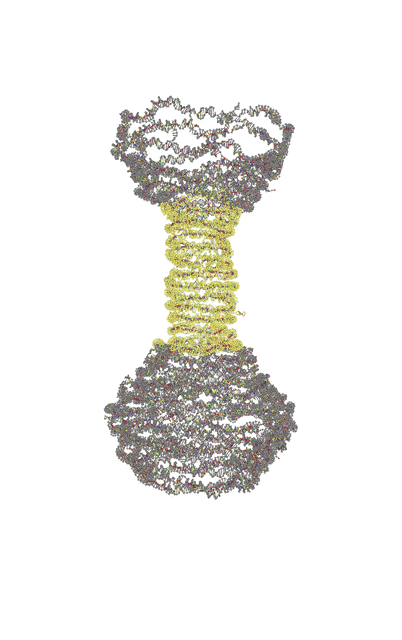 Single-layer DNA origami trajectory