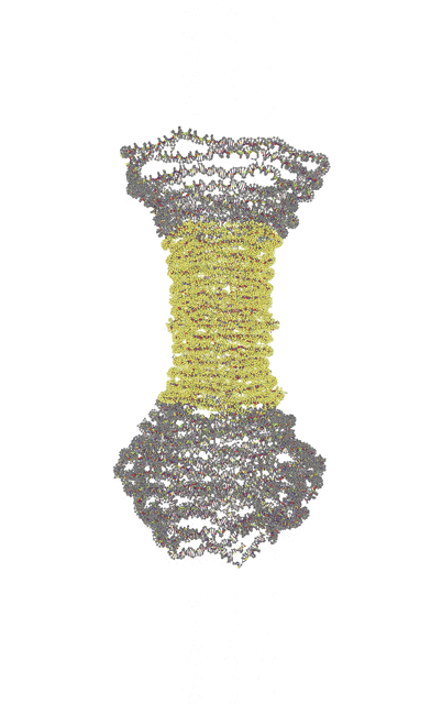 Reinforced DNA origami trajectory